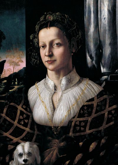 Young Woman with a Dog by Amico Friuliano del Dosso